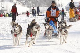 Lenk 2012 SM